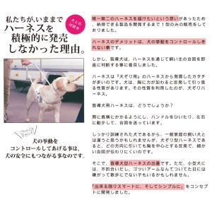 SAKURA DOGWARE 「ザ・レザーハー...の詳細画像2