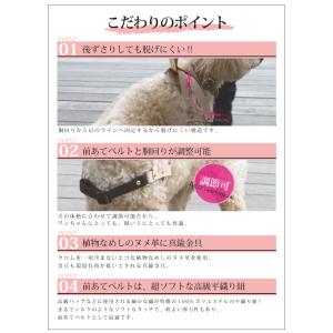 SAKURA DOGWARE 「ザ・レザーハー...の詳細画像3