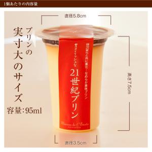 【送料込】彩(いろどり)プリン10個セット 9...の詳細画像2