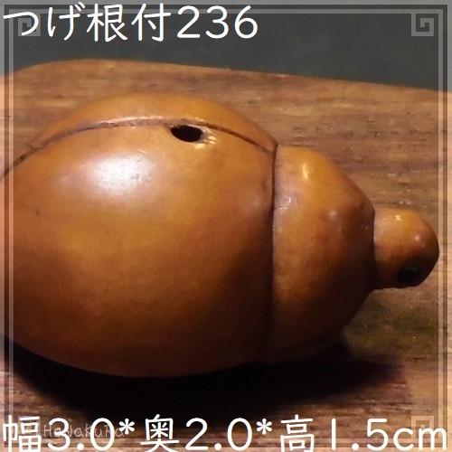 つげ 根付け 木彫り 彫刻 236 昆虫