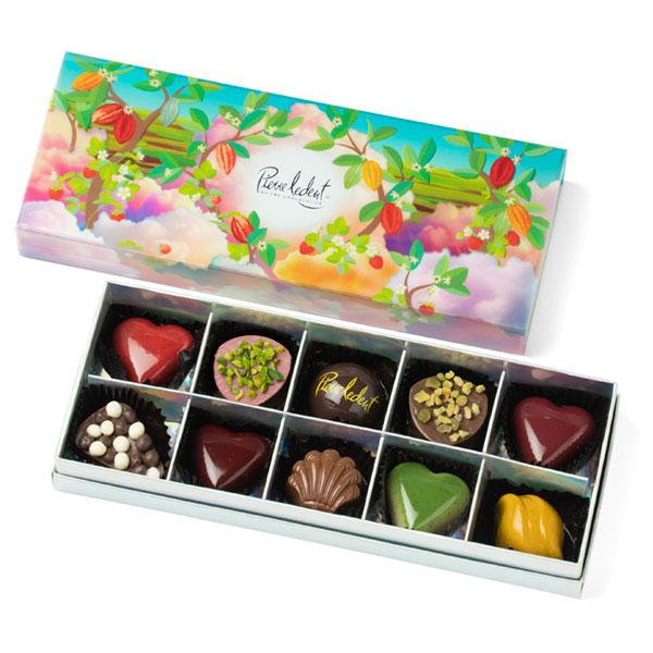 【PL】ディス B (クール冷蔵便)