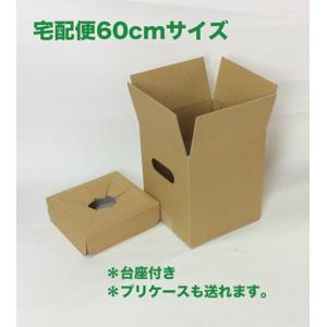 お花用 宅配ボックス 無地 ６０サイズ １０枚入り プリザーブド ソープフラワー アレンジメント 鉢物 花束用 段ボール