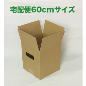 お花用 宅配ボックス 無地 60サイズ 10枚...の詳細画像2
