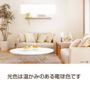 <10個セット・1個当たり499円>【電球色・...の詳細画像3
