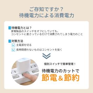 電源タップ 2m ワットメーター付き 雷ガード...の詳細画像4