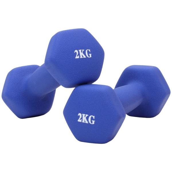 ダンベル 2kg 2個 セット カラー トレーニング 筋トレ 初心者 エクササイズ ダイエット 鉄ア...