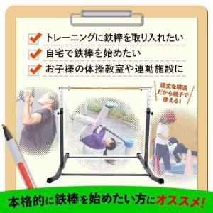 本格派 鉄棒 室内 子供 耐荷重150kg 強...の詳細画像4