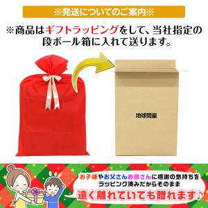 体操 マット プレゼント ギフト 折りたたみ ...の詳細画像4