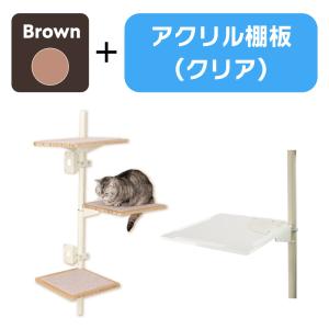 【公式】 キャットタワー本体 (ブラウン) ＋アクリル棚板 (クリア) 【ねこゴロン】の商品画像