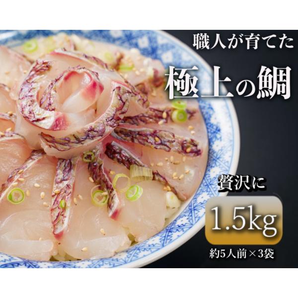 「勇まだい」1.5kg　【天草の絶品真鯛】