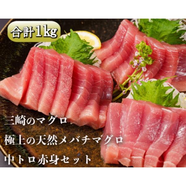 天然メバチマグロ　贅沢2種セット　中トロ・赤身 合計1kg【三崎の極上ブランドマグロ　2種詰合せ　贅...