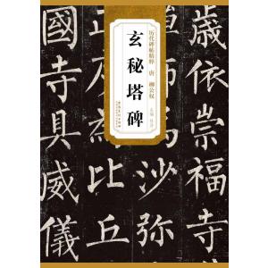 駿台 大学入試基礎徹底講座 数学 ビジュアル・アタック/実力向上演習