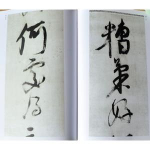 倪元ろ作品集(げいげんろ) 中国古代名碑名帖 ...の詳細画像1