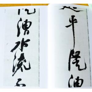 倪元ろ作品集(げいげんろ) 中国古代名碑名帖 ...の詳細画像3