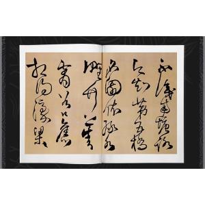 王鐸書道集 上下2冊 中国書画名家全集 中国語...の詳細画像1