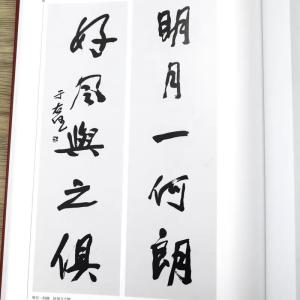 于右任書法集 上下2巻セット 中国語書道/于右...の詳細画像2