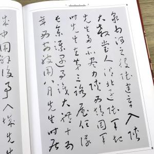 于右任書法集 上下2巻セット 中国語書道/于右...の詳細画像3