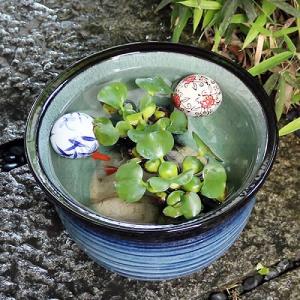 10号藍の色睡蓮鉢 信楽焼 金魚鉢、メダカ鉢に...の詳細画像1