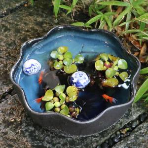 12号青釉ハケメ花型水鉢 信楽焼 金魚鉢、メダ...の詳細画像2