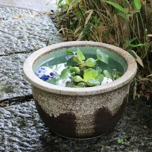 10号灰流し睡蓮鉢 信楽焼 金魚鉢、メダカ鉢にお...の商品画像