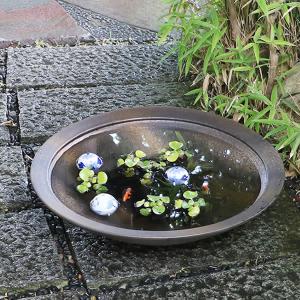 20号金彩水鉢 信楽焼 金魚鉢、メダカ鉢にお勧...の詳細画像1