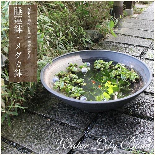 30号黒ハケメ浅型水鉢　信楽焼　金魚鉢、メダカ鉢にお勧め［su-0200］