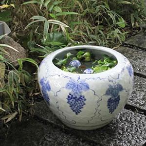 15号ぶどう絵手ひねり水鉢 信楽焼 金魚鉢、メダ...の商品画像