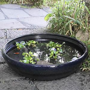 大型サイズなまこ色水鉢 手ひねり水鉢 信楽焼 ...の詳細画像1