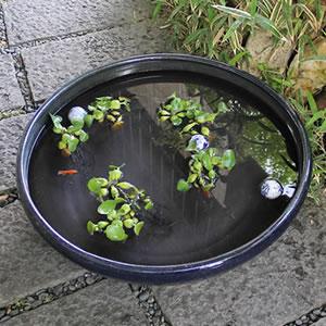 大型サイズなまこ色水鉢 手ひねり水鉢 信楽焼 ...の詳細画像2