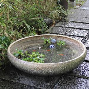 大型サイズ窯変水鉢 手ひねり水鉢 信楽焼 金魚...の詳細画像1
