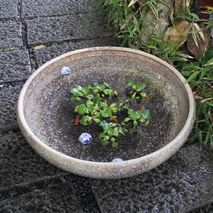 大型サイズ窯変水鉢 手ひねり水鉢 信楽焼 金魚...の詳細画像2