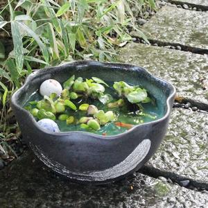 12号緑釉ハケメ花型水鉢 信楽焼 金魚鉢、メダ...の詳細画像1