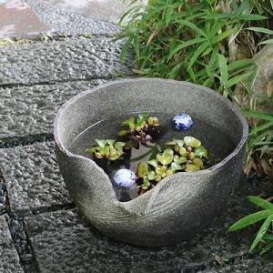 手ひねり水鉢　信楽焼すいれん鉢　金魚鉢、メダカ鉢にもお勧め！　陶器スイレン鉢［su-0221］