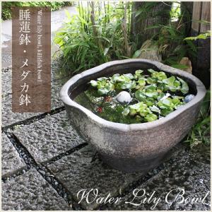 19号黒肌変形水鉢　信楽焼　金魚鉢、メダカ鉢にお勧め［su-0070］