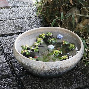 大型サイズ水鉢　手ひねり水鉢　信楽焼　金魚鉢、メダカ鉢にお勧め　20号すいれん鉢［su-0223］