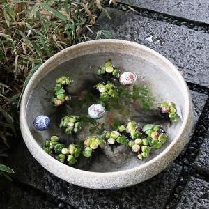 大型サイズ水鉢 手ひねり水鉢 信楽焼 金魚鉢、...の詳細画像2