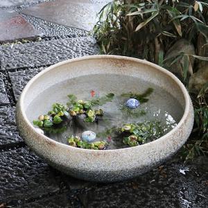 25号大型サイズ水鉢 手ひねり水鉢 信楽焼 金...の詳細画像1