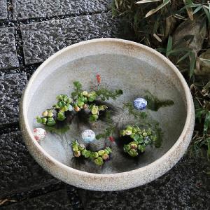 25号大型サイズ水鉢 手ひねり水鉢 信楽焼 金...の詳細画像2