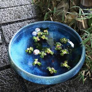 25号大型サイズ水鉢 手ひねり水鉢 信楽焼 金...の詳細画像2
