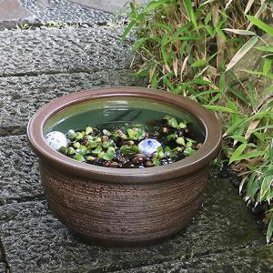 15号松皮スイレン鉢　信楽焼　金魚鉢、メダカ鉢にお勧め　陶器めだか鉢　水鉢　［su-0234］
