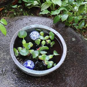 10号青ハケ目水鉢 信楽焼 金魚鉢、メダカ鉢に...の詳細画像2