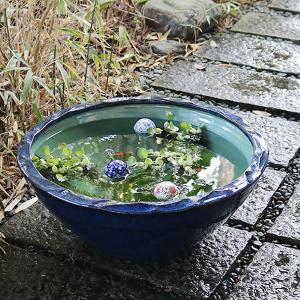 20号ナマコ色水鉢　信楽焼　金魚鉢、メダカ鉢にお勧め 睡蓮鉢 スイレン鉢 ［su-0240］