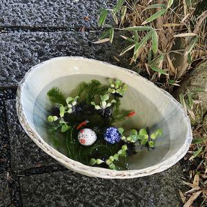 手ひねり小判型水鉢 信楽焼 金魚鉢、メダカ鉢に...の詳細画像2