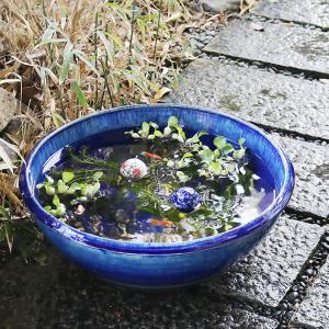 ブルーガラス水鉢 信楽焼 金魚鉢、メダカ鉢にお...の詳細画像1