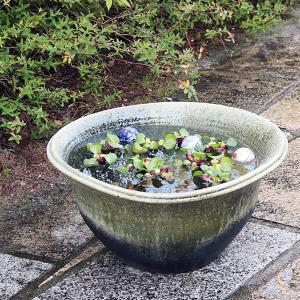 20号手ひねり水鉢　信楽焼　金魚鉢、メダカ鉢にお勧め 睡蓮鉢 スイレン鉢　手水鉢　陶器 ［su-0245］