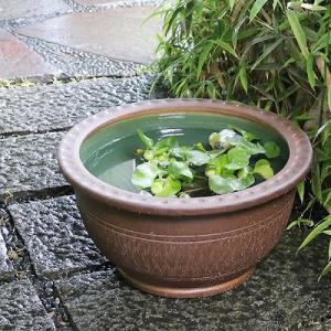 16号トチリ碗型水鉢 信楽焼 金魚鉢、メダカ鉢...の詳細画像1
