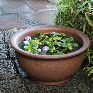 20号ケズリ鈴型水鉢　信楽焼　金魚鉢、メダカ鉢にお勧め　大型水鉢　［su-0046］