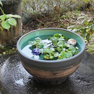 13号はけ目水鉢　信楽焼　金魚鉢、メダカ鉢にお勧め　陶器スイレン鉢　手水鉢　めだか鉢［su-0251］