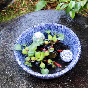 10号青窯変水鉢 信楽焼 金魚鉢 メダカ鉢にお...の詳細画像2