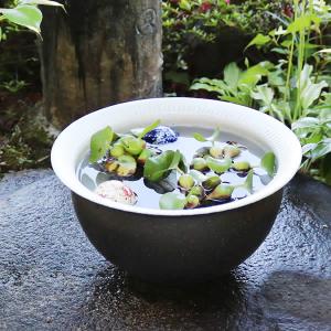 こげ窯変トチリ水鉢 信楽焼 金魚鉢、メダカ鉢に...の詳細画像1